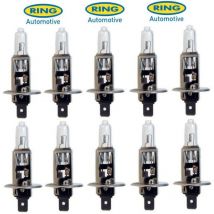 Ring - 10 Ampoules H1 24V 70W P14.5s - Ampoule halogene de phare
