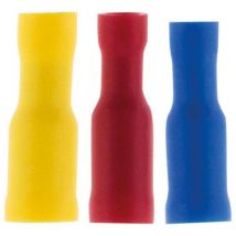 10 cosses femelles rondes Zenitech
