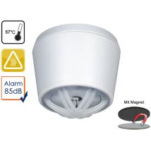 10 Jahres Mini Hitzemelder mit Magnethalter, optimal für Küche oder Badezimmer