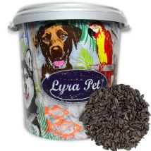 10 kg de graines de tournesol Lyra Pet noires hk Bulgarie en bac de 30 l