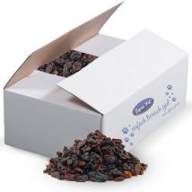 10 kg de raisins secs Lyra Pet