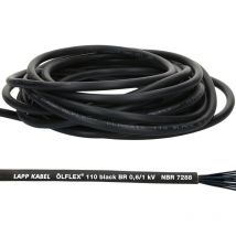 10 Meter Lapp 1120339 Ölflex Classic 110 Black 0,6/1kV pvc Steuerleitung 2x2,5 mm² ohne Schutzleiter i Außenbereich i flammwidrig i Kabel 2 adrig i