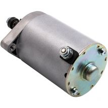 10 Teeth Starter Motor Motorino di avviamento per Cub Cadet Mower Tractor