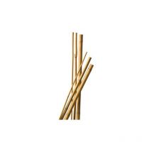 Lot de 10 Tuteurs Bambou 60 cm diam 6-8 mm