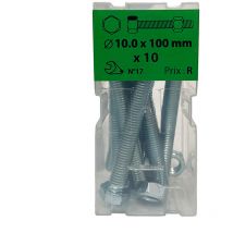 10 vis 10x100mm tête hexa + écrou zingué Viswood