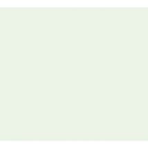 10 x pvc coating plank cm 260x10x1 blanc