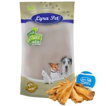 100 pièces oreilles de bovins Lyra Pet env. 3 kg + balle de tennis