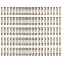 100 Fusibles agu verre dore 10A