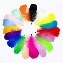 100 Plumes Multicolore, Multicolore Plume Décoration, Idéal pour Costumes, Chapeaux, Décoration d'intérieur Fete Mariage Anniversaire, Multicolore