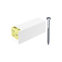 Din 571 st galZn 12x130 hp - E-normpro