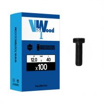100 vis 12x40mm tête hexa brut Viswood