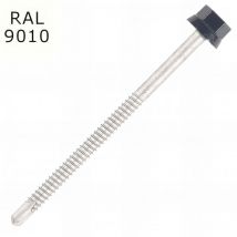 Scell-it - 100 Vis pour bacs acier d. 6,3 mm l. 160 mm zamatop-z TH12 pour le Zed - ral 9010