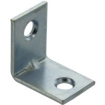 Angle de plaque 100 x 2 trous 20x20 mm