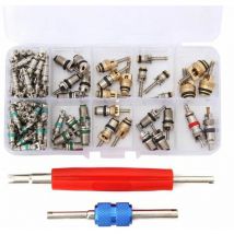 Kit de Démontage de Valve Core pour Climatiseur de Voiture R12/R134A - 100x Noyau de Valve