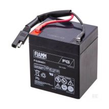 Global Garden Product - 118120064/0 - Batterie 12V 4,5Ah pour tondeuse Castelgarden / ggp / Stiga