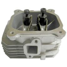 Global Garden Product - 118550099/0 - Ensemble Culasse / Cylindre pour Moteur ggp