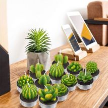 12 bougies de cactus, bougies succulentes de plantes artificielles, bougies de cire de thé de la Saint-Valentin pour les fêtes, mariages, spas,
