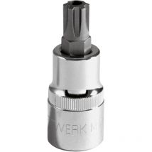 1/2' Loch-RIBE-Bit-Stecknuss M13