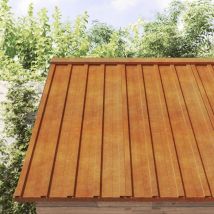 Panneaux De Toiture 12 Pcs Plaque Panneau Et Lame De Bardage Rouillé 100x44 Cm Acier Corten 68496
