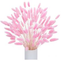120 Pcs Pampa Séchées Naturelle Décoration, Herbe de la Pampa Fleurs Séchées Décoration Bouquet de Fleurs Séchées pour Les Fleurs Boho de Mariage et