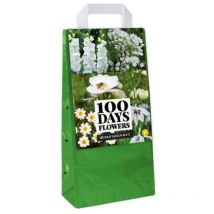 125 Bulbes à planter fleurs Blanches