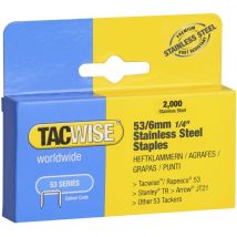 1270 Punti Metallici in Acciaio Inossidabile 53/10mm (2000), Argento, 10 mm - Tacwise