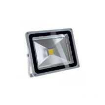 Ecolife Lighting - Blanc Chaud - Projecteur led Basse Tension - 12V / 24V dc - 30W - IP65