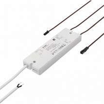 12VDC Max 36W Modulo di gradazione led. 1-10 v.