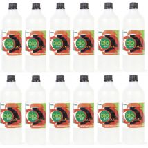 Sprintchimica - 12x 1 lt bioetanolo combustibile Ecologico Naturale, inodore, per Camino biocamino