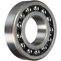 1310 KTNC3 NSK double Row self Aligning Ball Bearing