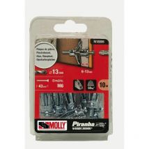 10 Metallspreizdübel Ø 6 x 34 mm mit Schraube M6 MOLLY - M18006-XJ
