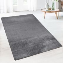 Teppich Sundae Anthrazit 77 80 x 300 cm