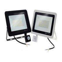 Rosemary - 1PACK - 100W Projecteur led détecteur de mouvement,Blanc Froid (6500K) 10000LM Projecteur led Exterieur Avec Detecteur Imperméable IP66