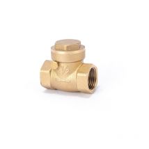 1pcs clapet anti-retour de robinet de collecteur d'eau, clapet anti-retour pivotant Dn15 1/2 femelle en laiton clapet anti-retour d'eau clapet