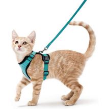 1pc(XS-vert) harnais pour chat laisse pour petit chien harnais pour chaton réglable vert
