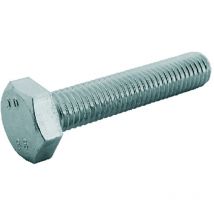 1BLISTER bullone testa esagonale 8.8 t.e. ma 10 x 80 - pz. 2