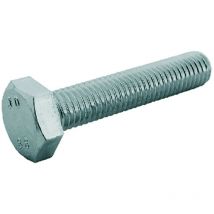 1BLISTER bullone testa esagonale 8.8 t.e. ma 8 X100 - pz. 2