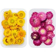 2 Boîtes Fleurs Séchées Naturelles,Fleur Sechees Naturel,Fleurs Pressé Séchées Naturelles,Fleur Sechees Decoration,pour Fabrication de Bougies