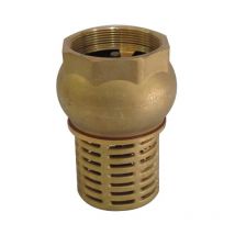 2' laiton d'aspiration de la vanne contrôle clapet anti-retour pour la pompe