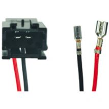 Caliber - 2 Cables adaptateurs haut-parleur RASC5030