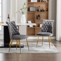 Hauss Spole - 2 chaises rembourrées, chaises de salle à manger avec dossiers, velours, pieds en métal, salon/salle à manger, gris