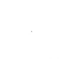 2 Pcs Sangle à Bagages avec Crochet Double pour Vélo Moto - Tendeur Réglable - Accessoire pour Moto Vélo Bagage (60-90 cm)