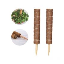 Tinor - 2 estacas para plantas, estacas de coco, postes de coco, palos de coco para jardín, plantas trepadoras, extensión de soporte para plantas.
