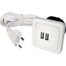 InterBär 9016-008.81 2 vie Presa di ricarica usb con usb IP20 Bianco