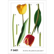 Sticker mural - 2 tulipes - 65 x 85 cm