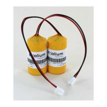 2 x batterie al litio 3, 6V 13Ah per sirène radio Atls sirynx-rf, sirus-rf