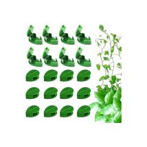 20 Stück Pflanzenclips Kletterpflanzen-Befestigungsclip Pflanzenbefestigungsclip Selbstklebende Stützbefestigungsclips Unsichtbare Pflanzenwand