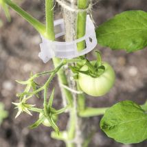 200 pz Jardin Plantes Clips Fleur Clip Idéal pour sécuriser Les Plantes au Plante Prend en Charge - Blanc