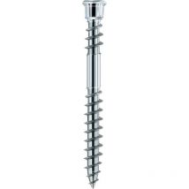 Schraube Terrassotec Geh. Din10088 5,5x 60mm T25