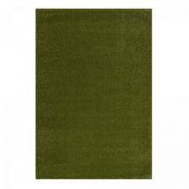 Jadorel - Tapis salon et chambre 200x290 vert rectangle tissé motif uni nossa
